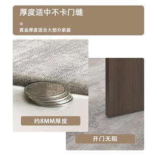 轻奢高级进门门口地垫可擦免洗入户门门口脚垫高级感地毯家用地垫