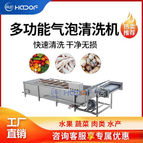 全自动气泡清洗机商用车厘子草莓橘子水果清洗设备喷淋均匀稳定
