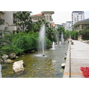 大型景观水游泳污水处理工业环保设备个性 设计定制臭氧发生器