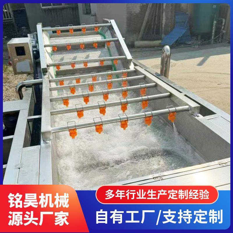 全自动气泡清洗机水果蔬菜清洗设备鲜玉米高压喷淋清洗设备