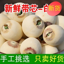 结婚专用大粒有芯白莲子干货500g特级带心湘莲农家特产有心白连子