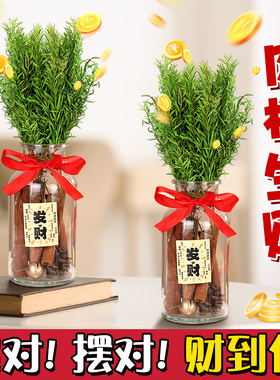 速发肉件生财瓶瓶桂招聚玻璃摆子材料客厅位乔迁新居搬家工位礼物
