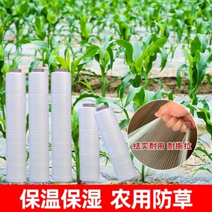 速发农用白色地膜塑料薄膜保温种湿蔬菜大棚育米种地保植玉苗果园