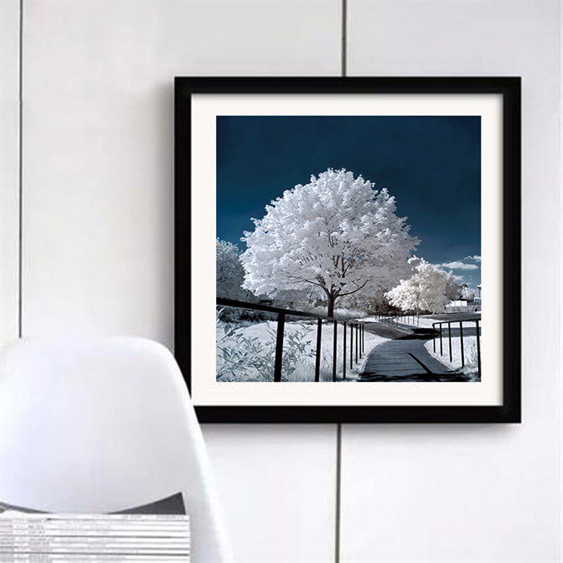 速发贴 方画魔画秀 钻方圆魔 雪景