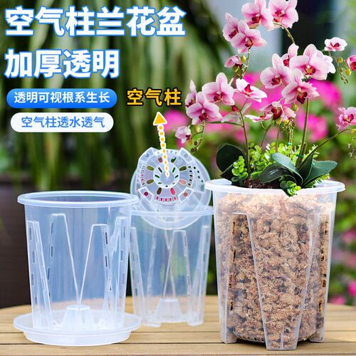 速发兰花水苔盆气透明杯山盆控根透塑料青带托盘营养钵蝴蝶兰花