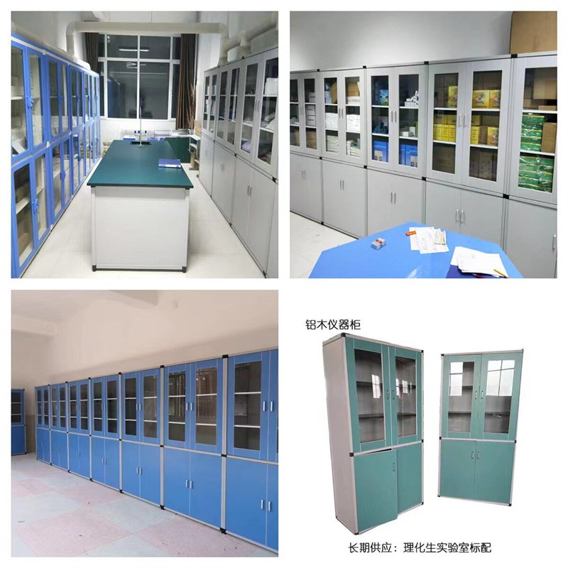 速发学校实验室铝木仪器柜化学通风柜PP耐酸碱玻璃标本器皿试剂柜图片
