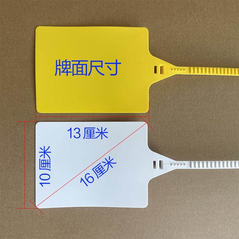 速发物流吊牌挂签安能物流挂牌一次性塑料封条编织袋标签园林苗木
