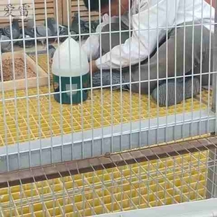 新品镀锌网片小孔鸟笼专用网格片铁丝网养殖网隔离网加粗家用s8