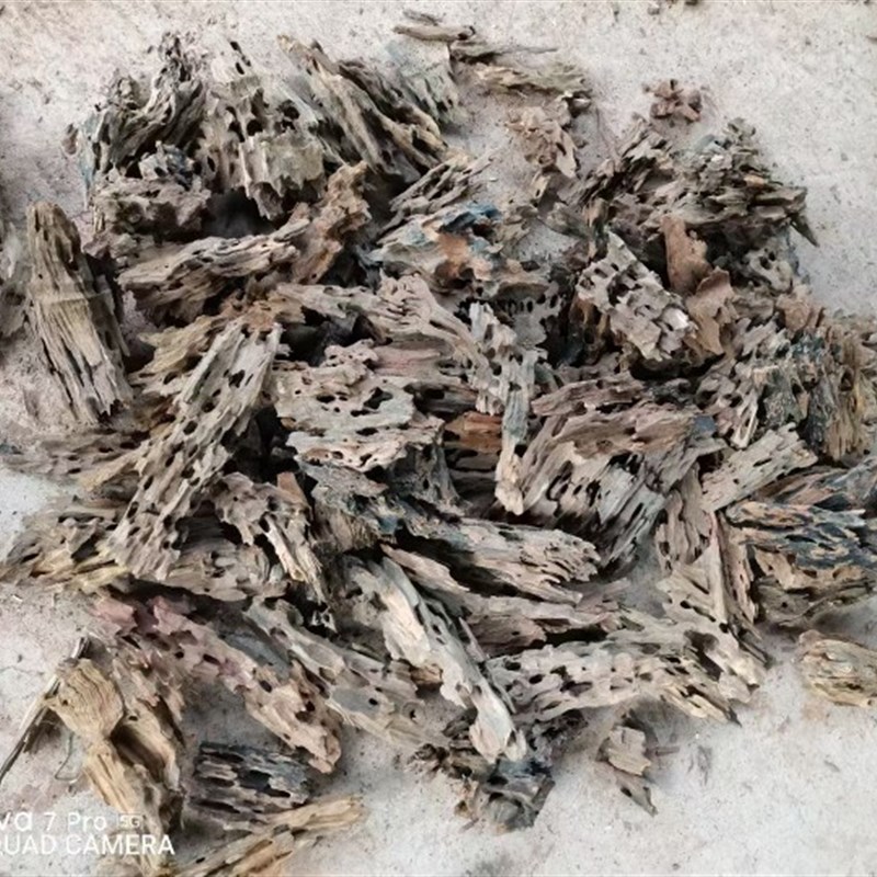 虾木,龙骨木,沉木造景,虾木骨架,杜鹃根,水族造景