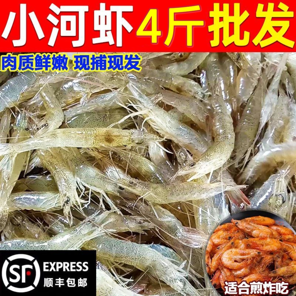 【顺丰到家】小河虾冷冻鲜活河虾新鲜钓鱼油炸河虾淡水小海虾