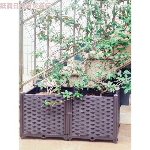 速发台种植箱天台楼顶菜园树加种菜箱外深花盆户外绿植果户花箱种