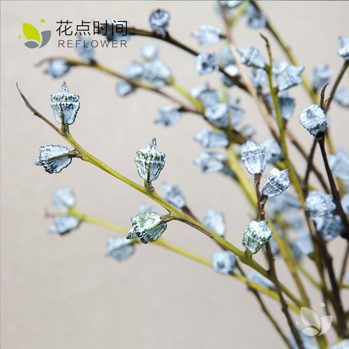 速发优质时间尤加利叶云南基地直发绿I植鲜切枝果水培干花卉真花