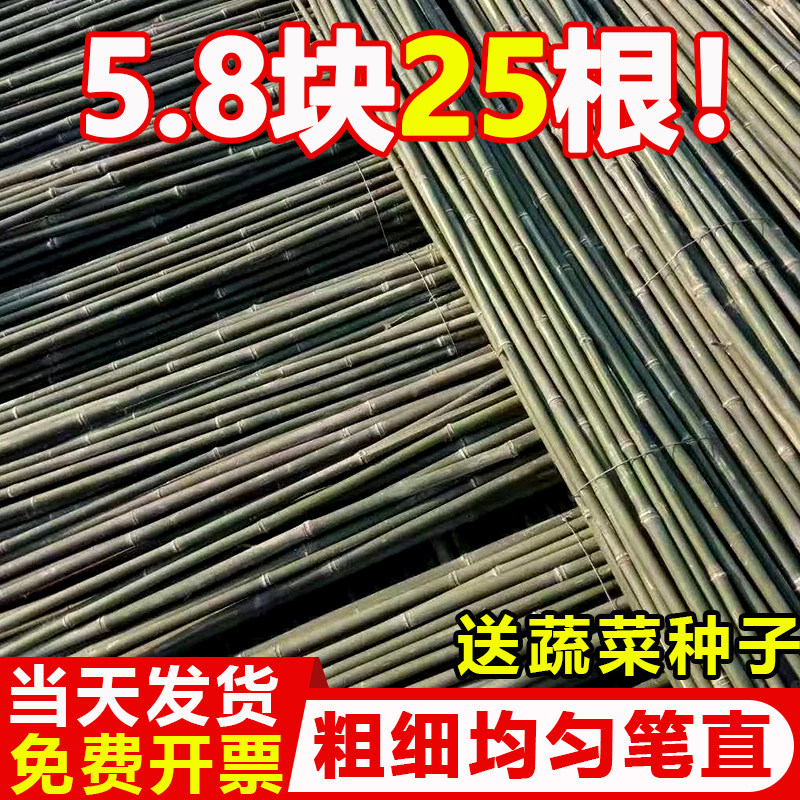 速发竹竿菜园搭架菜园蔬花架竹杆围栏户外毛竹篱笆防腐耐用彩旗杆