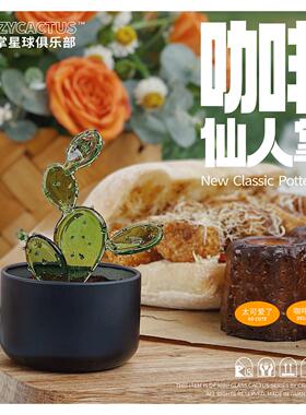 咖啡仙人掌灵感植物摆件 玻璃盆栽家居绿植装饰桌面布置精致礼物