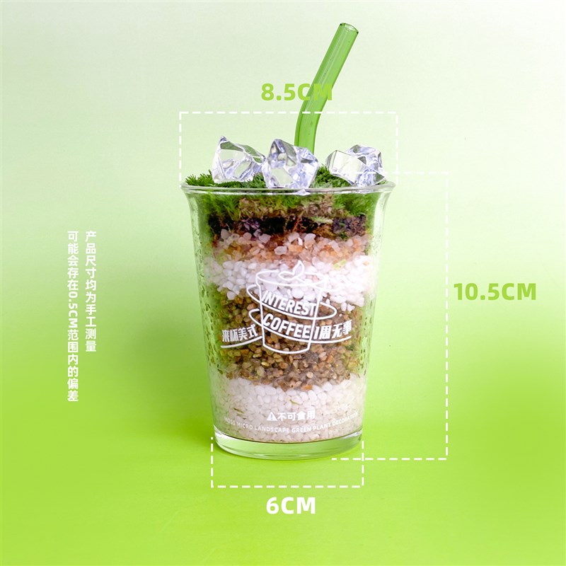 美式咖啡鲜活苔藓微景p观办公室桌面绿植摆件DIY小盆栽送朋友礼物