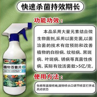 发财树营养液叶斑病黑斑叶子黄白斑专用肥料黄叶S落叶复活液杀菌