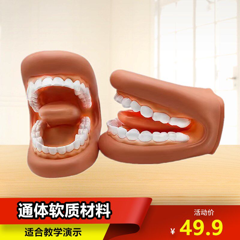 牙齿模型口腔教学牙科仿真教具幼儿园护理学刷牙医学儿Y童发音演