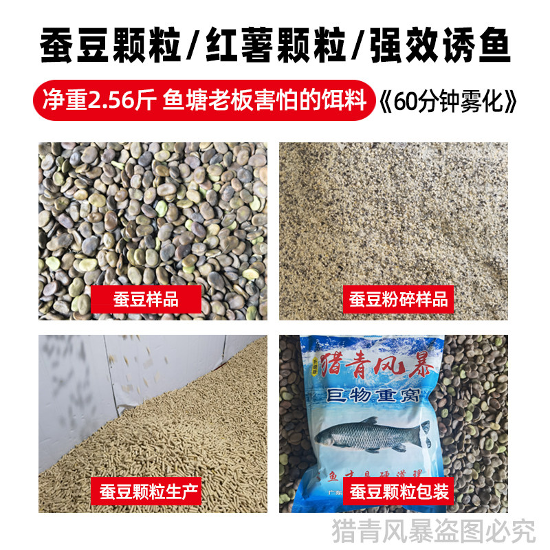 春季新品青鱼蚕豆颗粒冬钓大青窝料黑坑专用挂钩皮筋W大物青鱼饵