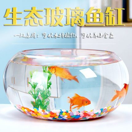鱼缸透明玻璃办公桌创意水培圆形圆球圆型小型乌龟桌面小鱼缸