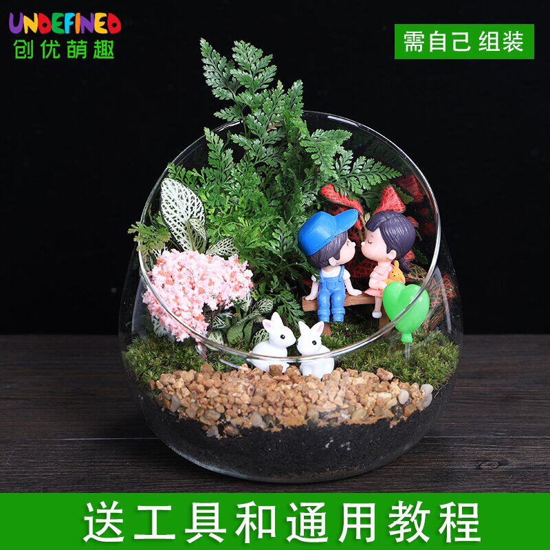 苔藓微景观盆栽绿植diy材料包B桌面迷你植物创意玻璃球生态瓶套装
