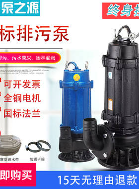 家用220V38i0V小型污水排水泵抽粪机抽粪泵排污潜水泵抽水机泥浆