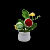 成品手工编织仿真水果西瓜牛x油果荔枝柠檬雪梨葫芦毛线盆栽摆件