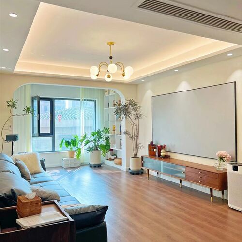 造型孔雀木盆栽大型绿植室内客厅植物好养吸甲醛绿W植办公室盆景