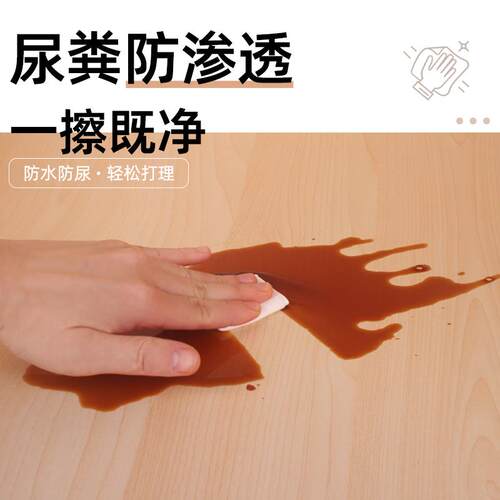 速发芦丁鸡造景小屋饲养箱子专用造景笼子鸡舍恒温全套育雏窝