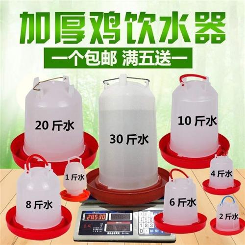 速发鸡水槽水壶水桶小鸡喝水的自动饮喂水器养鸡场全套养殖设备用