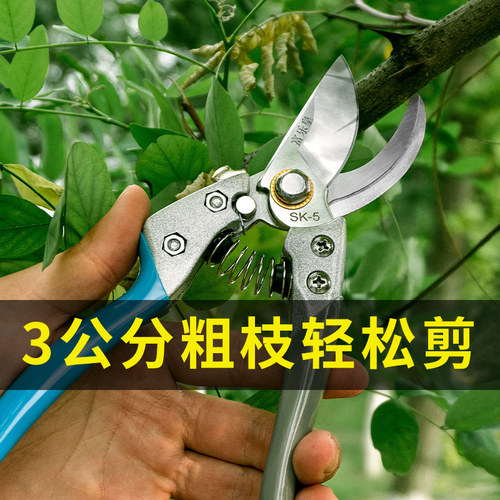 速发桑力大修剪SK5果树强枝剪刀强力园艺修剪树枝园林省力修花枝