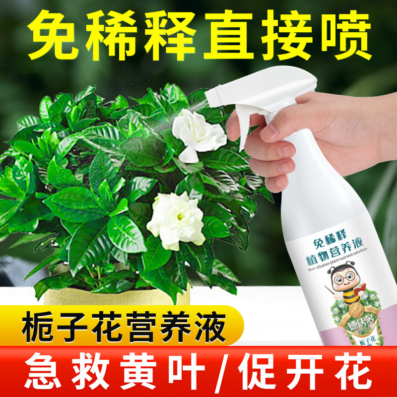 速发免稀释栀子花养料肥营肥液开花植物水通家用养花盆栽培用花肥
