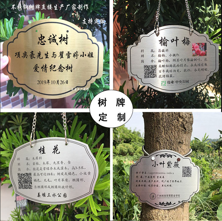 速发不锈钢树牌景区植物绿化花草标D识牌树木介绍悬挂吊挂牌插地