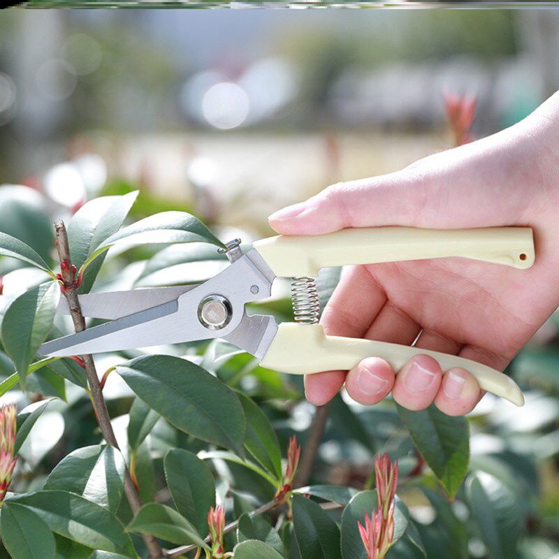 速发园艺剪工具不锈钢修枝剪嫁接水果花卉树枝果树花木剪刀园林摘