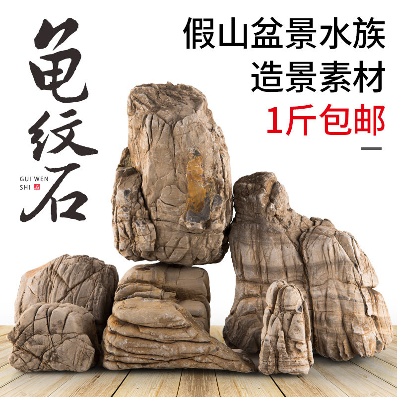 速发精品石块龟纹小小型吸水石假山微景观盆景摆件配件装饰小石头