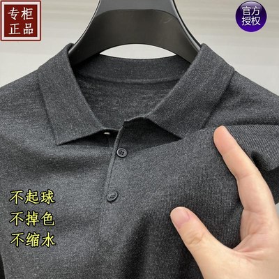 薄款春秋精纺羊毛衫男上衣针织打底衫男款毛衣男士T恤长袖Polo衫