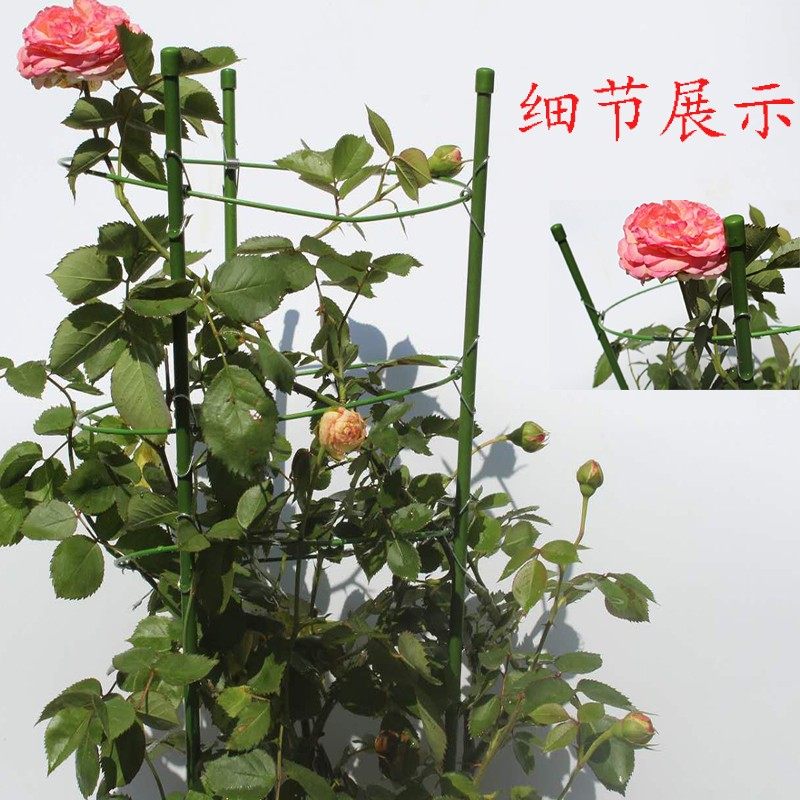爬藤架子花支架月季花架植物盆室内花卉支撑杆园艺铁线莲攀爬包邮