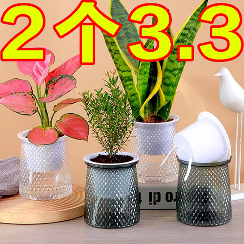 北欧塑料水培透明盆懒人自动吸水