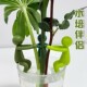 水培植物固定神器生长造型防倒伴侣扶正扶枝办公桌装 饰园艺固定器