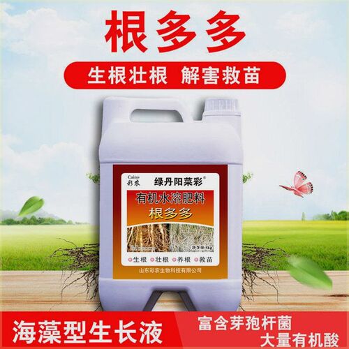 速发根多多强力生根壮苗剂冲施肥壳聚糖氨基酸水溶肥低温快速生根