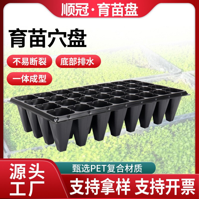 速发供应128孔育苗盘穴盘蔬菜瓜果种植盘50穴林木苗木pet育苗盘