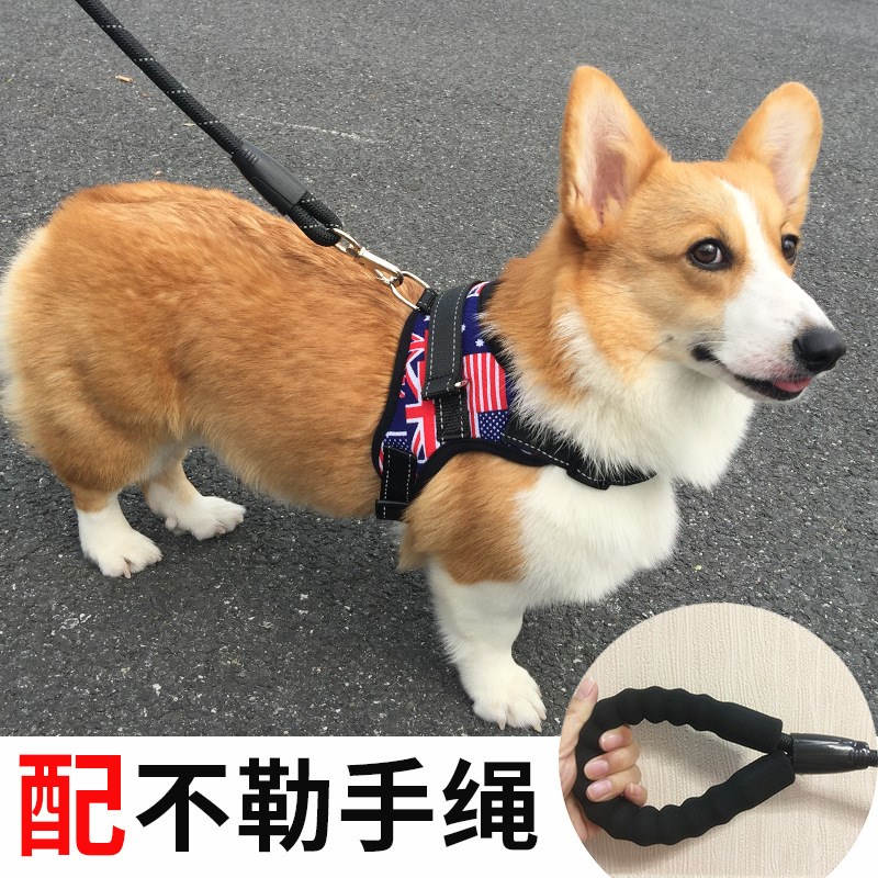 速发迪心式法狗绳子泰背遛斗柯基中型小型犬用品胸背带