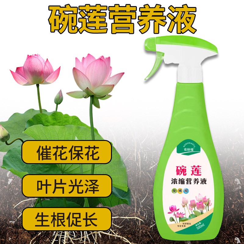 速发碗莲浓缩营养液大容量直喷用增营养苗吸收四季通型防黄叶壮易