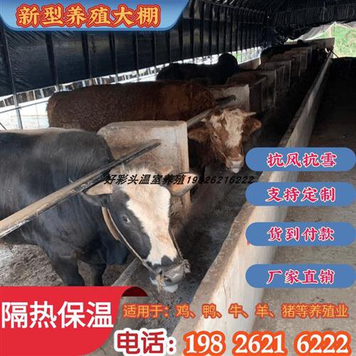 现货速发养鸡钢钢管鸭猪舍羊温保养殖猪圈牛椭圆鹅场管S4.7大棚管