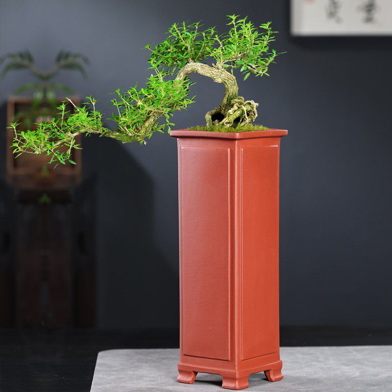 速发精品紫砂花盆简约素雅四方高签筒兰花盆悬崖老桩松树吊兰花盆