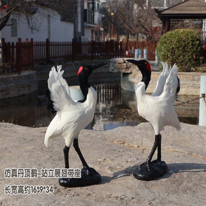 丹顶鹤摆件仿真模型展q翅仙鹤模具白鹤白鹭丹顶鹤模型真羽毛工艺