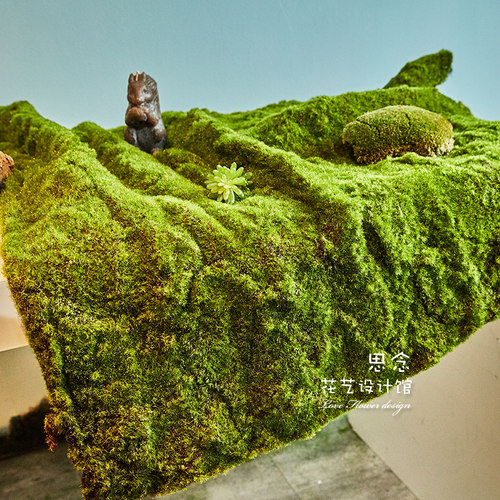 植物墙背景墙绿植草皮软r苔藓装饰苔藓假苔藓假青苔造景装饰仿真