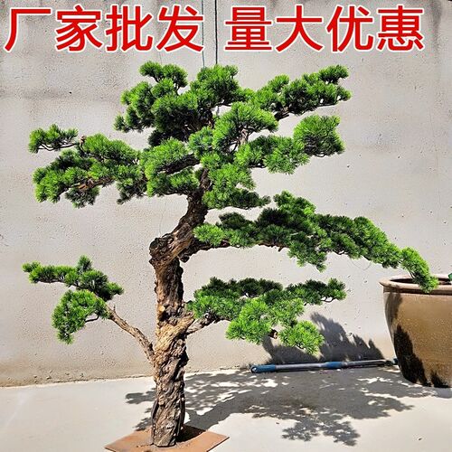 景观摆件罗汉松j美人迎客松迎客松仿真松树商场酒店装饰造型假松