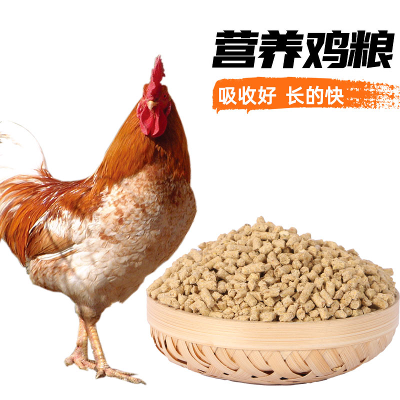 盛旺破碎草鸡饲料喂鸡小鸡开口肉鸡育肥蛋鸡产蛋颗粒全价颗粒饲料