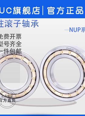 AUC圆柱滚子轴承NUP204 205 206 207 208 209 EM