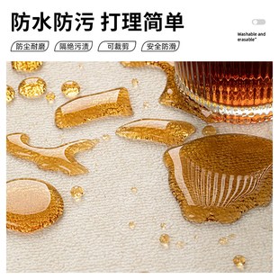 高端可擦免洗耐脏蹭脚垫子 地垫入户门垫进门口高级感玄关2024新款